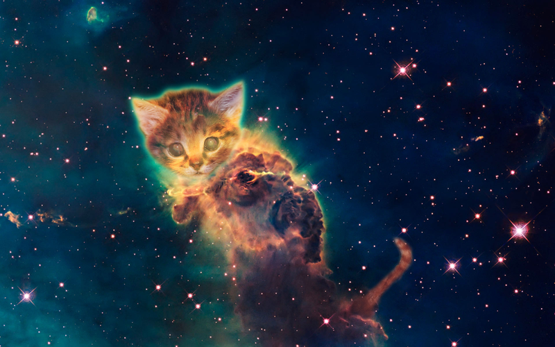 Illustration for article titled My God, It's Full Of Cats! The Very Best Artwork Of Cats In Space